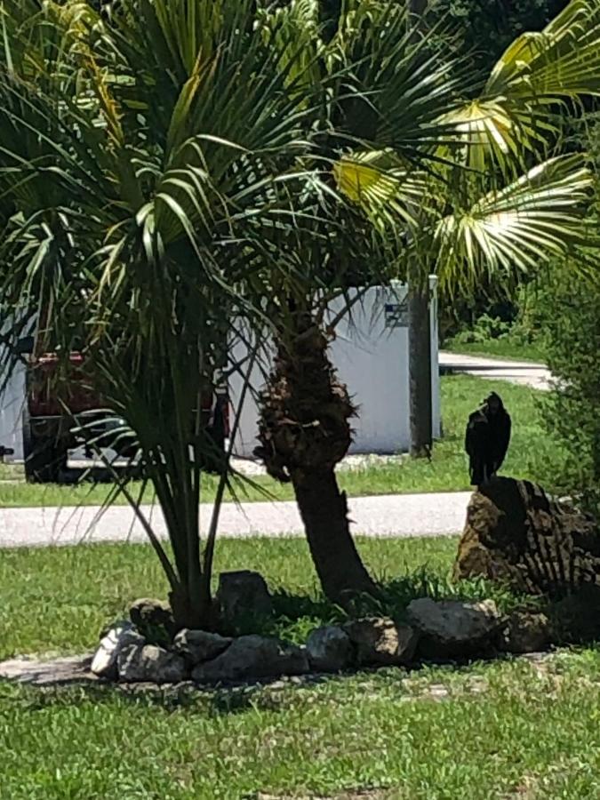 Cozy Cottage River House Weeki Wachee Ngoại thất bức ảnh